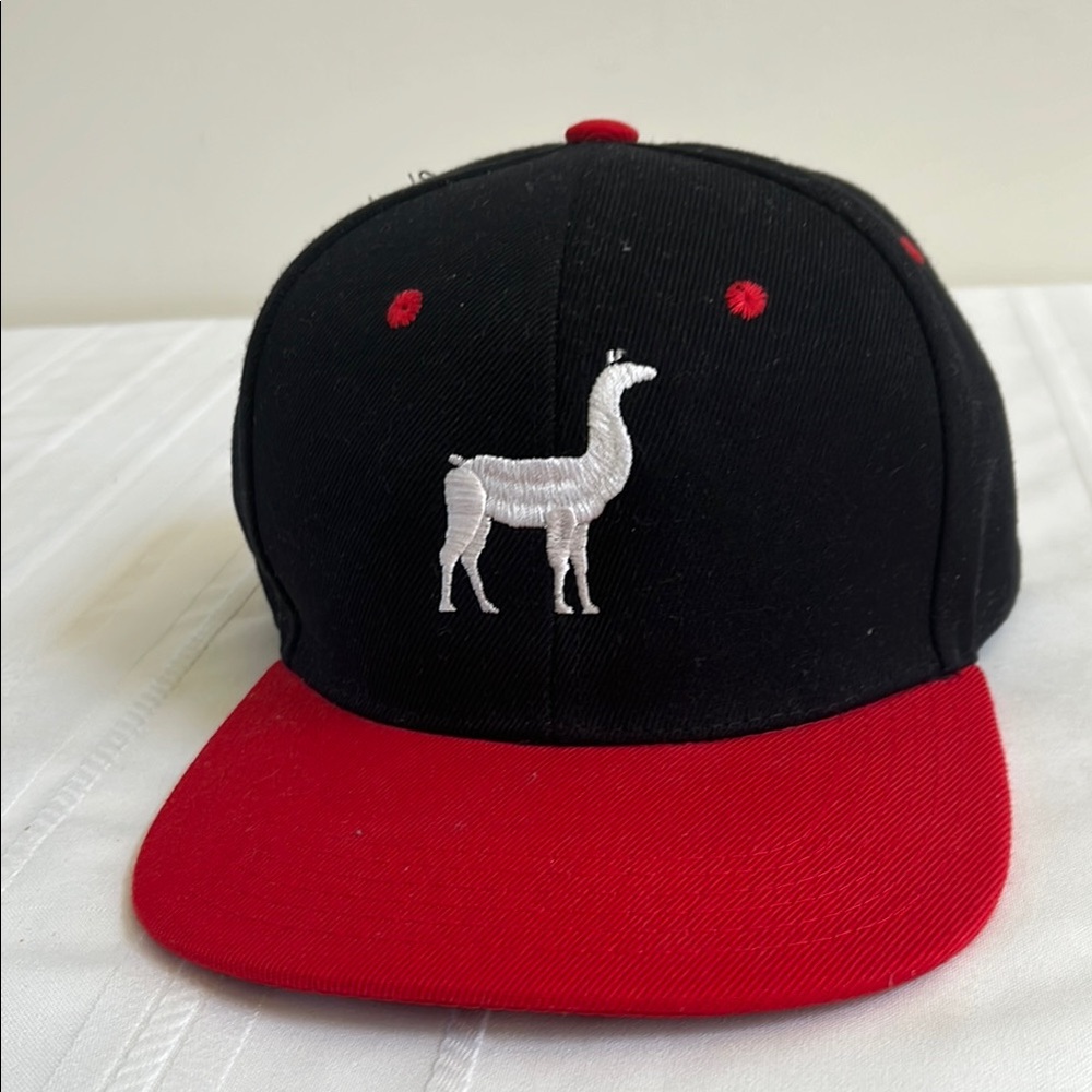 Chacho Spirits Washington DC Llama Logo Baseball Hat Cap